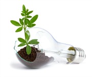 photodune-1559083-lightbulb-with-plant-growing-inside--l.jpgresized